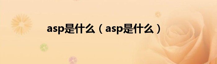 asp是什么（asp是什么）