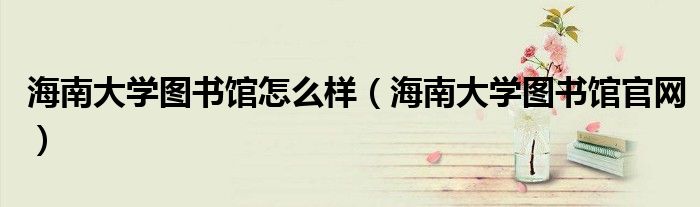 海南大学图书馆怎么样（海南大学图书馆官网）