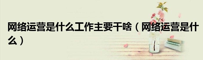网络运营是什么工作主要干啥（网络运营是什么）