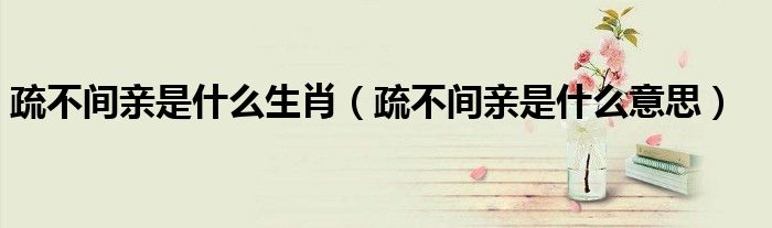 疏不间亲是什么生肖（疏不间亲是什么意思）