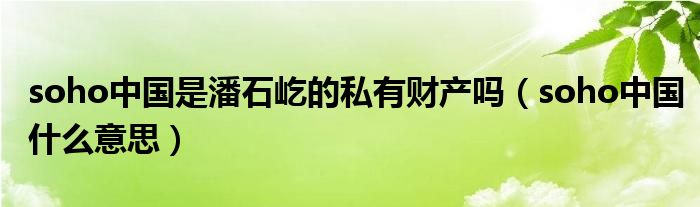 soho中国是潘石屹的私有财产吗（soho中国什么意思）