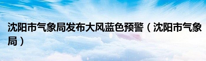 沈阳市气象局发布大风蓝色预警（沈阳市气象局）