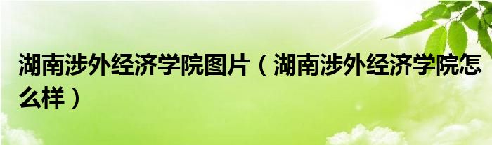 湖南涉外经济学院图片（湖南涉外经济学院怎么样）