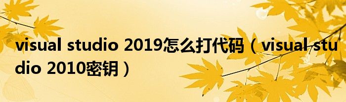visual studio 2019怎么打代码（visual studio 2010密钥）