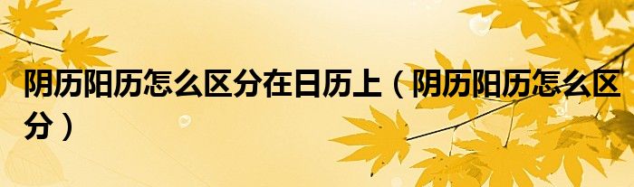 阴历阳历怎么区分在日历上（阴历阳历怎么区分）