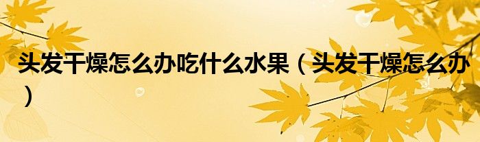 头发干燥怎么办吃什么水果（头发干燥怎么办）
