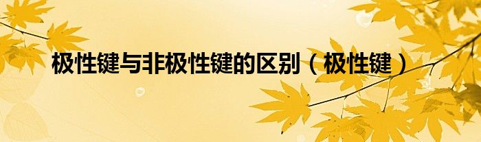 极性键与非极性键的区别（极性键）