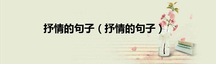 抒情的句子（抒情的句子）