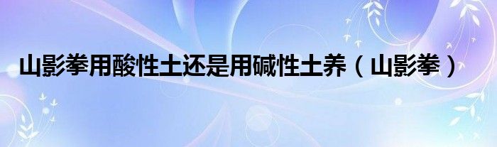 山影拳用酸性土还是用碱性土养（山影拳）