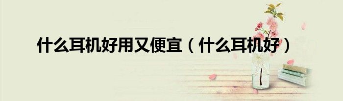 什么耳机好用又便宜（什么耳机好）