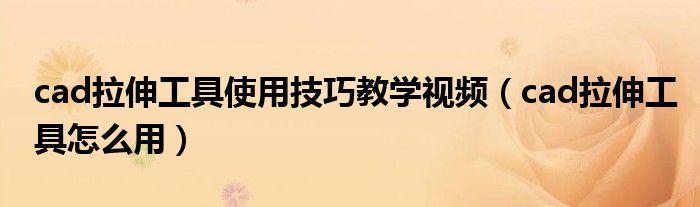 cad拉伸工具使用技巧教学视频（cad拉伸工具怎么用）
