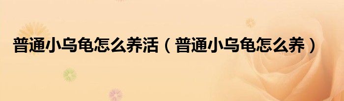 普通小乌龟怎么养活（普通小乌龟怎么养）