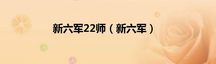新六军22师（新六军）