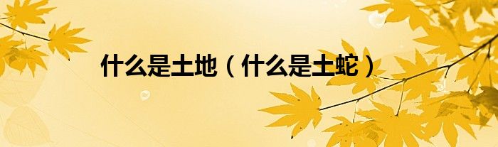 什么是土地（什么是土蛇）