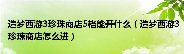 造梦西游3珍珠商店5格能开什么（造梦西游3珍珠商店怎么进）