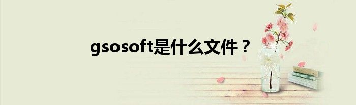 gsosoft是什么文件？