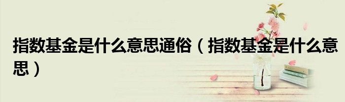 指数基金是什么意思通俗（指数基金是什么意思）