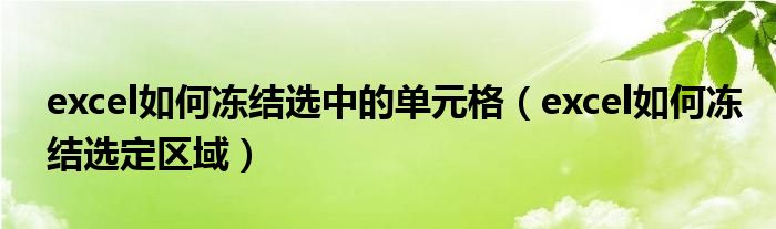 excel如何冻结选中的单元格（excel如何冻结选定区域）
