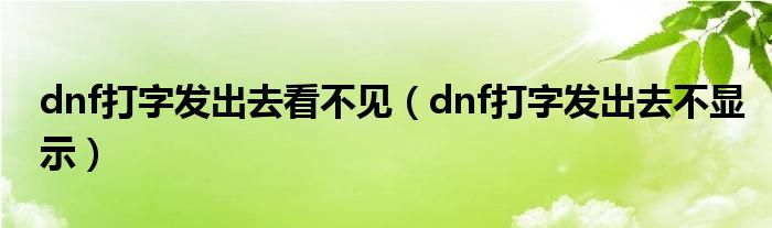 dnf打字发出去看不见（dnf打字发出去不显示）