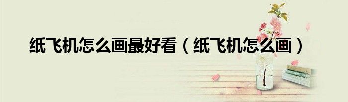 纸飞机怎么画最好看（纸飞机怎么画）