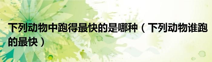 下列动物中跑得最快的是哪种（下列动物谁跑的最快）