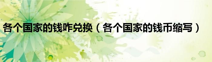 各个国家的钱咋兑换（各个国家的钱币缩写）