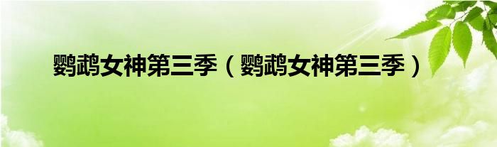 鹦鹉女神第三季（鹦鹉女神第三季）
