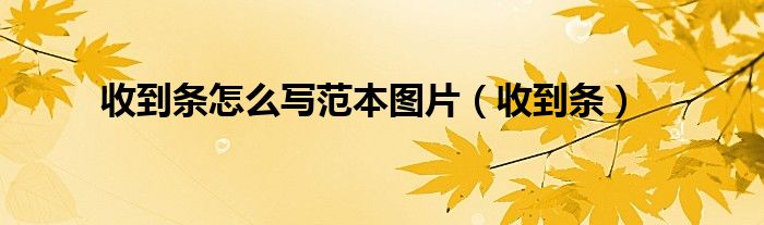 收到条怎么写范本图片（收到条）