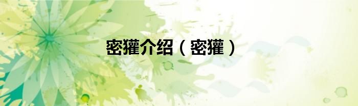 密獾介绍（密獾）