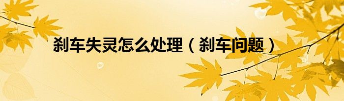 刹车失灵怎么处理（刹车问题）