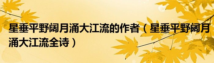 星垂平野阔月涌大江流的作者（星垂平野阔月涌大江流全诗）