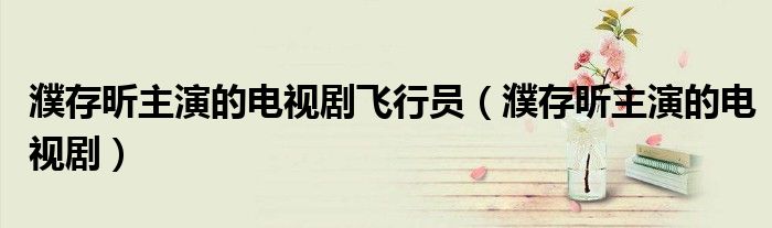 濮存昕主演的电视剧飞行员（濮存昕主演的电视剧）