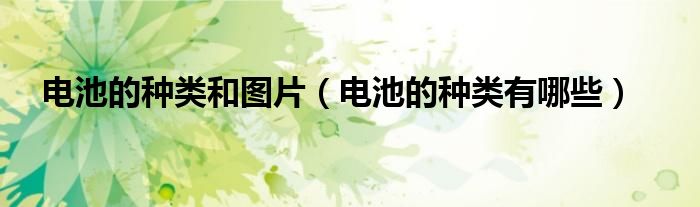 电池的种类和图片（电池的种类有哪些）
