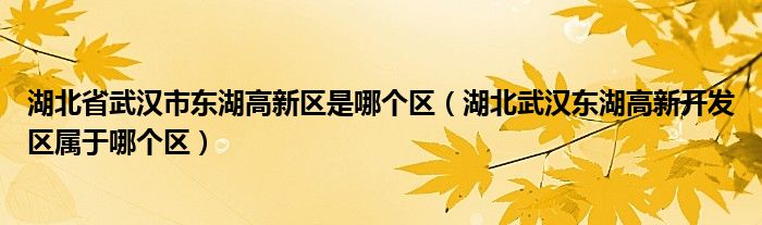 湖北省武汉市东湖高新区是哪个区（湖北武汉东湖高新开发区属于哪个区）