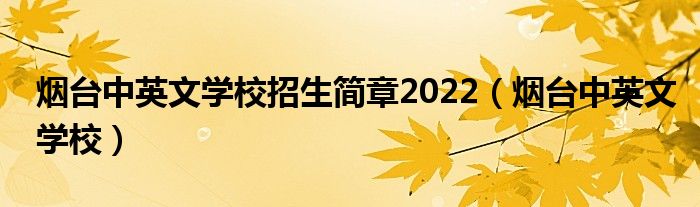 烟台中英文学校招生简章2022（烟台中英文学校）