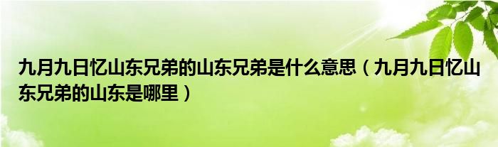 九月九日忆山东兄弟的山东兄弟是什么意思（九月九日忆山东兄弟的山东是哪里）