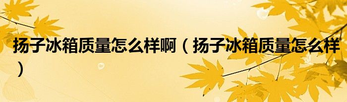 扬子冰箱质量怎么样啊（扬子冰箱质量怎么样）
