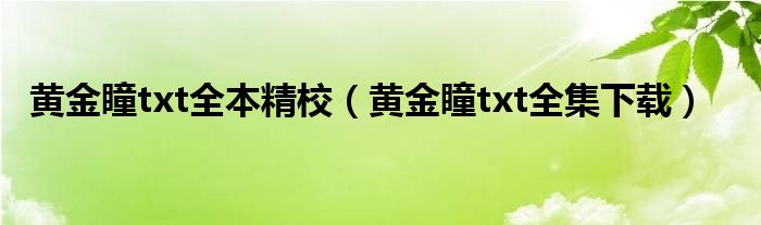 黄金瞳txt全本精校（黄金瞳txt全集下载）
