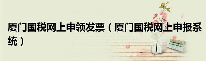厦门国税网上申领发票（厦门国税网上申报系统）