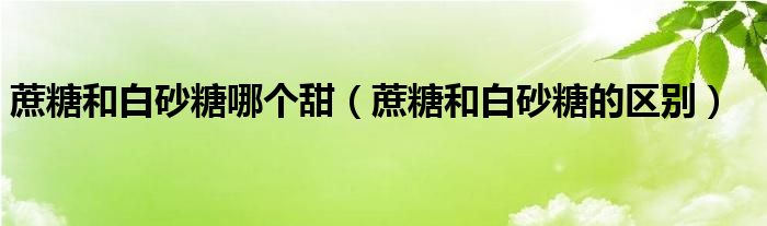 蔗糖和白砂糖哪个甜（蔗糖和白砂糖的区别）