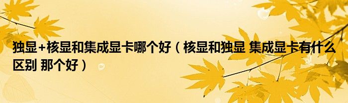 独显+核显和集成显卡哪个好（核显和独显 集成显卡有什么区别 那个好）