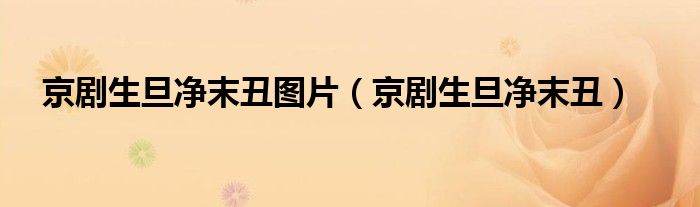 京剧生旦净末丑图片（京剧生旦净末丑）