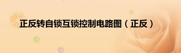 正反转自锁互锁控制电路图（正反）