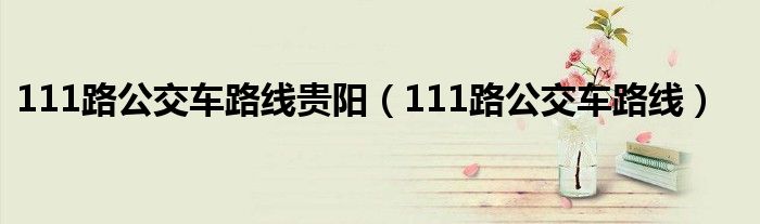 111路公交车路线贵阳（111路公交车路线）