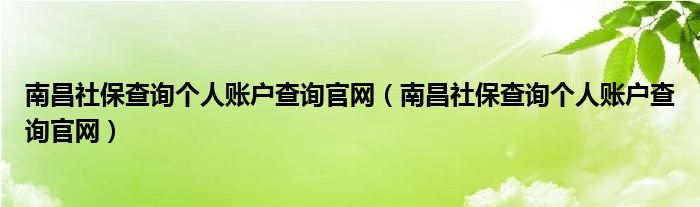 南昌社保查询个人账户查询官网（南昌社保查询个人账户查询官网）