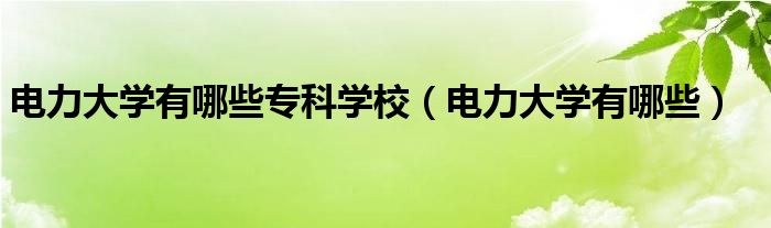 电力大学有哪些专科学校（电力大学有哪些）