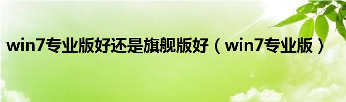 win7专业版好还是旗舰版好（win7专业版）