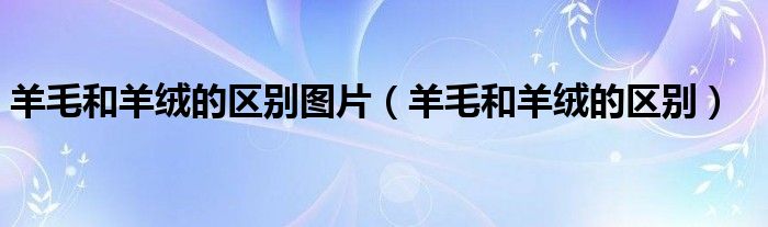 羊毛和羊绒的区别图片（羊毛和羊绒的区别）