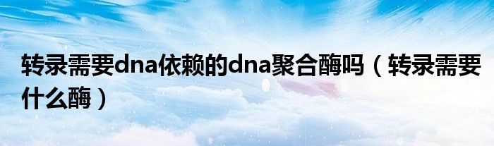 转录需要dna依赖的dna聚合酶吗（转录需要什么酶）