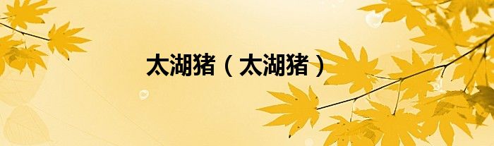 太湖猪（太湖猪）